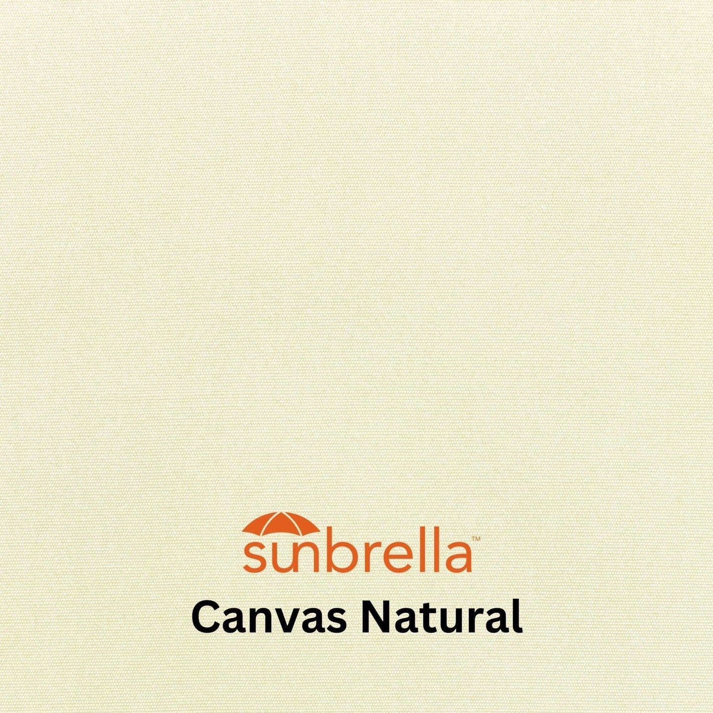 Anibal Daybed with Sunbrella Cushion