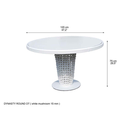 Dynasty 5-Piece Dining Set with Sunbrella Cushion (White Mushroom)