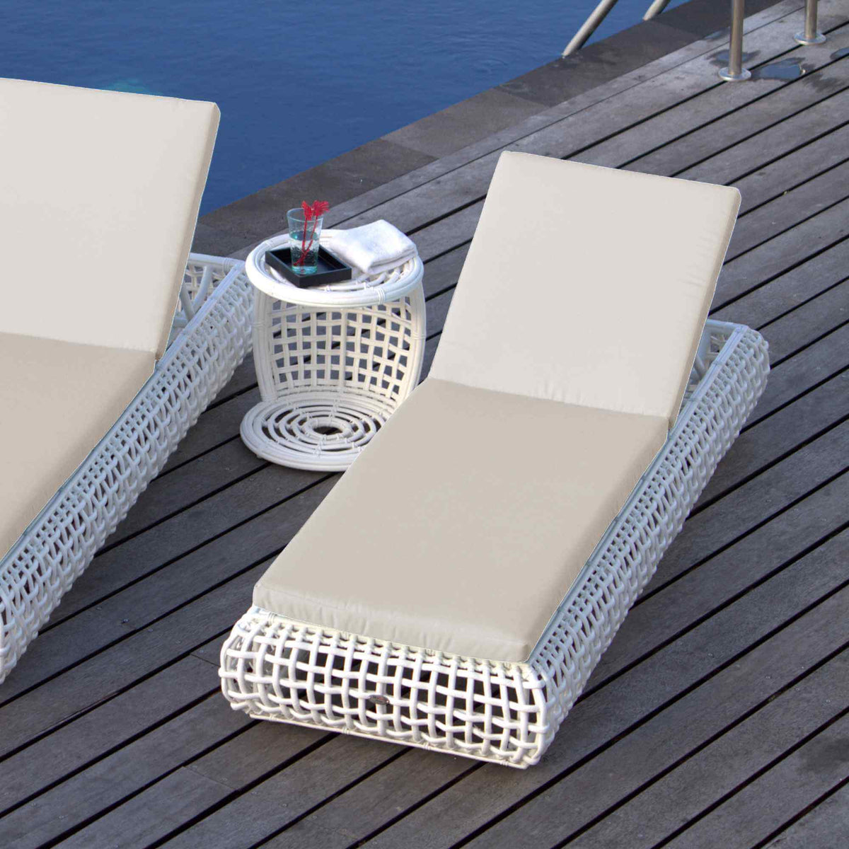 Dynasty Chaise Lounger with Sunbrella Cushion (White Mushroom) (view 1)