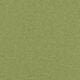 Kiwi Green