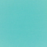 Canvas Aruba - Panama Jack
