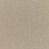 Sunbrella Canvas Taupe