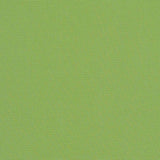 Ginkgo