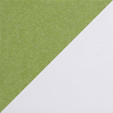 Lime Green & White