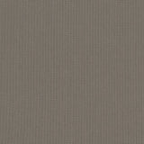 Spectrum Graphite - Panama Jack