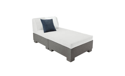 Ledge Lounger Affinity 2-Piece Sun Chair in Granite Gray with Silver cushion